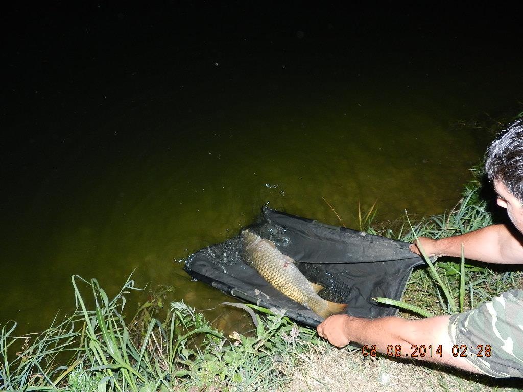 marginal fishing - dscn2642.JPG